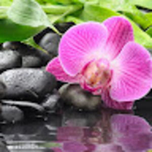 Meet your Posher, Therese